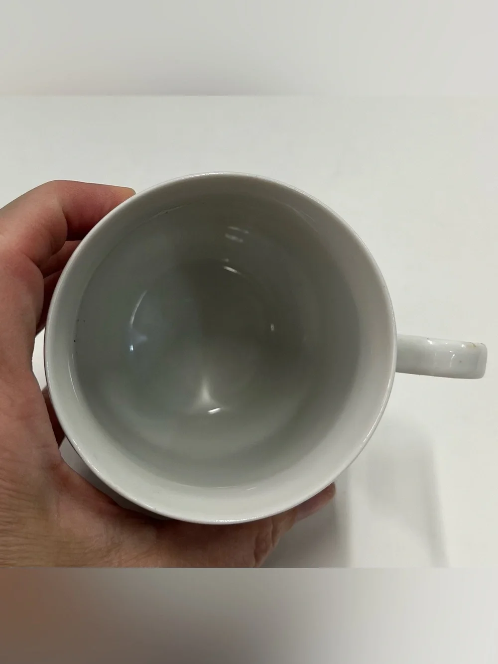 Vintage Schumann Arzberg “Game Birds” porcelain  coffee cup